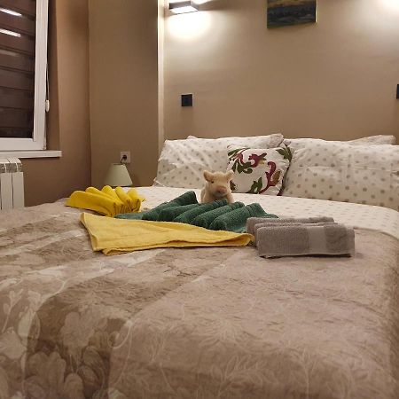 Guest House Jasmin Niska Banja Exterior photo
